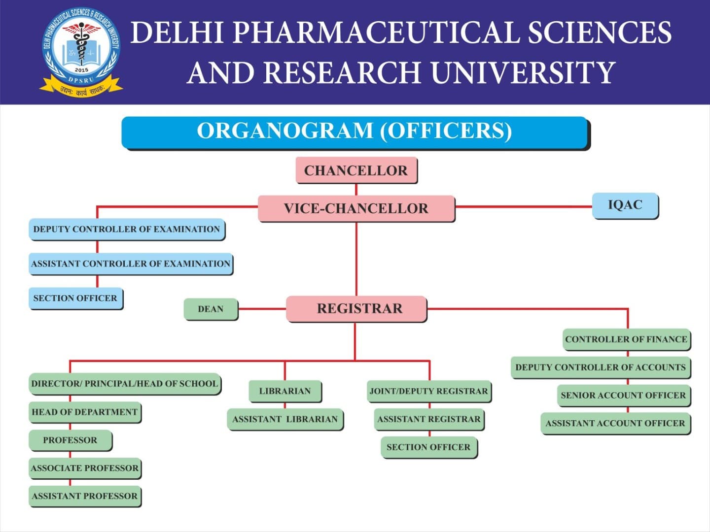 Organogram – Management Structure (Part 2)